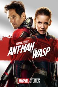 ดูหนัง Ant man and the wasp (2019) แอนท์ แมน และ เดอะ วอสพ์