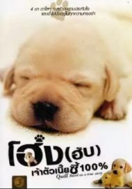 ดูหนังออนไลน์ฟรี Quill The Life of a Guide Dog (2004) โฮ่ง (ฮับ) เจ้าตัวเนี้ยซี้ 100% หนังเต็มเรื่อง หนังมาสเตอร์ ดูหนังHD ดูหนังออนไลน์ ดูหนังใหม่