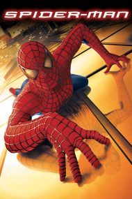 ดูหนังออนไลน์ฟรี Spider Man 1 (2002) ไอ้แมงมุม หนังเต็มเรื่อง หนังมาสเตอร์ ดูหนังHD ดูหนังออนไลน์ ดูหนังใหม่