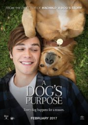 ดูหนังออนไลน์ฟรี A Dogs Purpose (2017) หมา เป้าหมาย และเด็กชายของผม หนังเต็มเรื่อง หนังมาสเตอร์ ดูหนังHD ดูหนังออนไลน์ ดูหนังใหม่