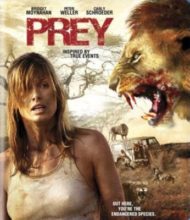 ดูหนังออนไลน์ฟรี Prey (2007) หนีนรกเขี้ยวนักล่า หนังเต็มเรื่อง หนังมาสเตอร์ ดูหนังHD ดูหนังออนไลน์ ดูหนังใหม่