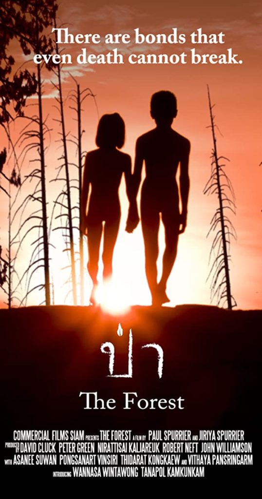 The Forest (2016) ป่าสูบวิญญาณ ดูหนังออนไลน์ SSDMOVIE