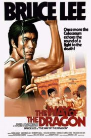 ดูหนังออนไลน์ฟรี The Way of the Dragon (1972) ไอ้หนุ่มซินตึ๊งบุกกรุงโรม หนังเต็มเรื่อง หนังมาสเตอร์ ดูหนังHD ดูหนังออนไลน์ ดูหนังใหม่