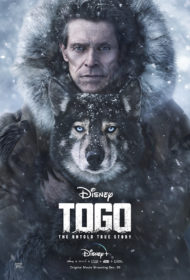 ดูหนังออนไลน์HD Togo (2019) โทโก้ หนังเต็มเรื่อง หนังมาสเตอร์ ดูหนังHD ดูหนังออนไลน์ ดูหนังใหม่