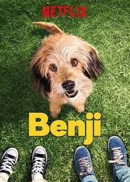 ดูหนังออนไลน์ฟรี Benji (2018) เบนจี้ หนังเต็มเรื่อง หนังมาสเตอร์ ดูหนังHD ดูหนังออนไลน์ ดูหนังใหม่