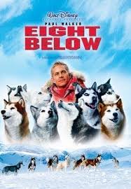 ดูหนังออนไลน์ฟรี Eight Below (2006) ปฏิบัติการ 8 พันธุ์อึดสุดขั้วโลก หนังเต็มเรื่อง หนังมาสเตอร์ ดูหนังHD ดูหนังออนไลน์ ดูหนังใหม่