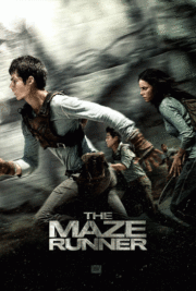 ดูหนังออนไลน์ฟรี The Maze Runner 1 (2014) เมซ รันเนอร์ 1  วงกตมฤตยู หนังเต็มเรื่อง หนังมาสเตอร์ ดูหนังHD ดูหนังออนไลน์ ดูหนังใหม่