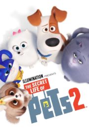 ดูหนังออนไลน์ฟรี The Secret Life of Pets 2 2019 เรื่องลับแก๊งขนฟู 2 หนังเต็มเรื่อง หนังมาสเตอร์ ดูหนังHD ดูหนังออนไลน์ ดูหนังใหม่