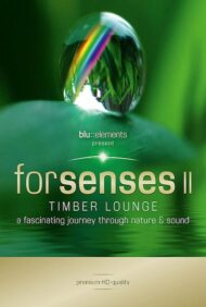 ดูหนังออนไลน์HD Forsenses II Timber Lounge (2011) หนังเต็มเรื่อง หนังมาสเตอร์ ดูหนังHD ดูหนังออนไลน์ ดูหนังใหม่