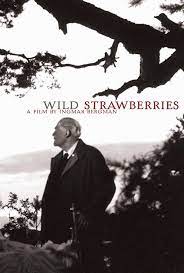 ดูหนังออนไลน์ฟรี Wild Strawberries (1957) หนังเต็มเรื่อง หนังมาสเตอร์ ดูหนังHD ดูหนังออนไลน์ ดูหนังใหม่