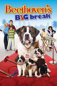ดูหนังออนไลน์ฟรี Beethoven s Big Break (2008) บีโธเฟน ยอดคุณหมาดาราจำเป็น หนังเต็มเรื่อง หนังมาสเตอร์ ดูหนังHD ดูหนังออนไลน์ ดูหนังใหม่