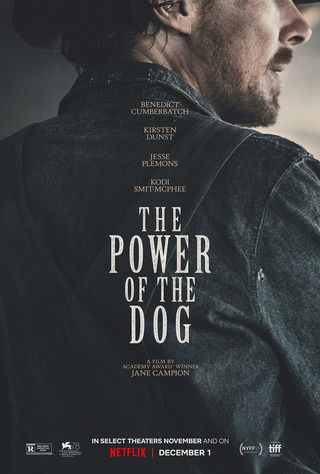 ดูหนังออนไลน์ฟรี The Power of the Dog (2021) หนังเต็มเรื่อง หนังมาสเตอร์ ดูหนังHD ดูหนังออนไลน์ ดูหนังใหม่