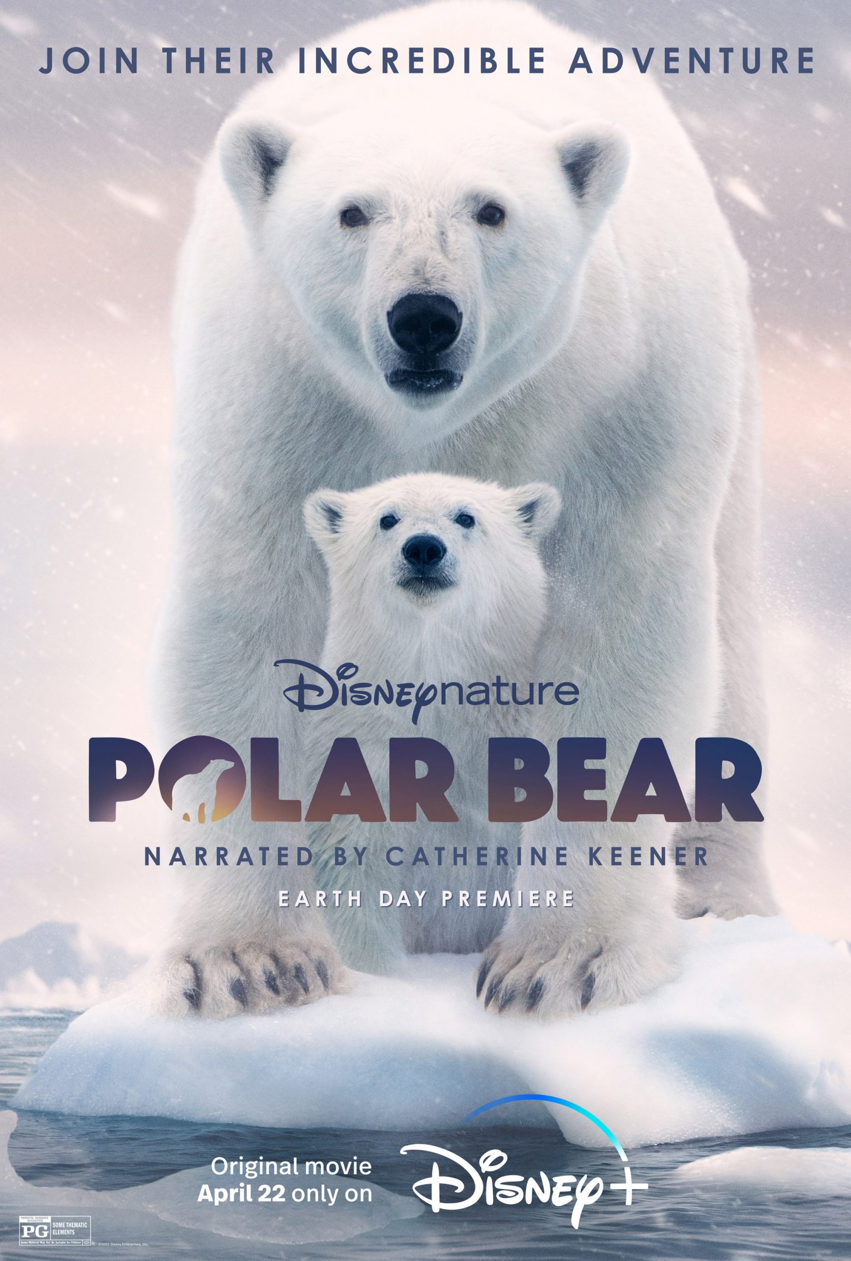 ดูหนัง Polar Bear (2022)