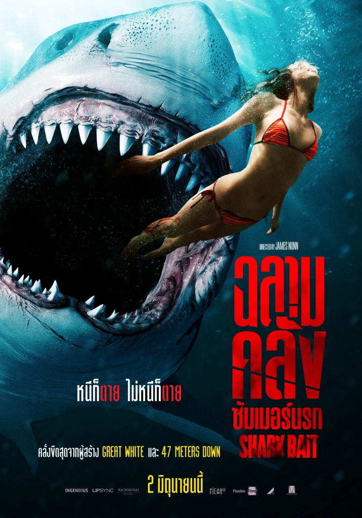 ดูหนังออนไลน์ฟรี Shark Bait (2022) ฉลามคลั่งซัมเมอร์นรก หนังเต็มเรื่อง หนังมาสเตอร์ ดูหนังHD ดูหนังออนไลน์ ดูหนังใหม่