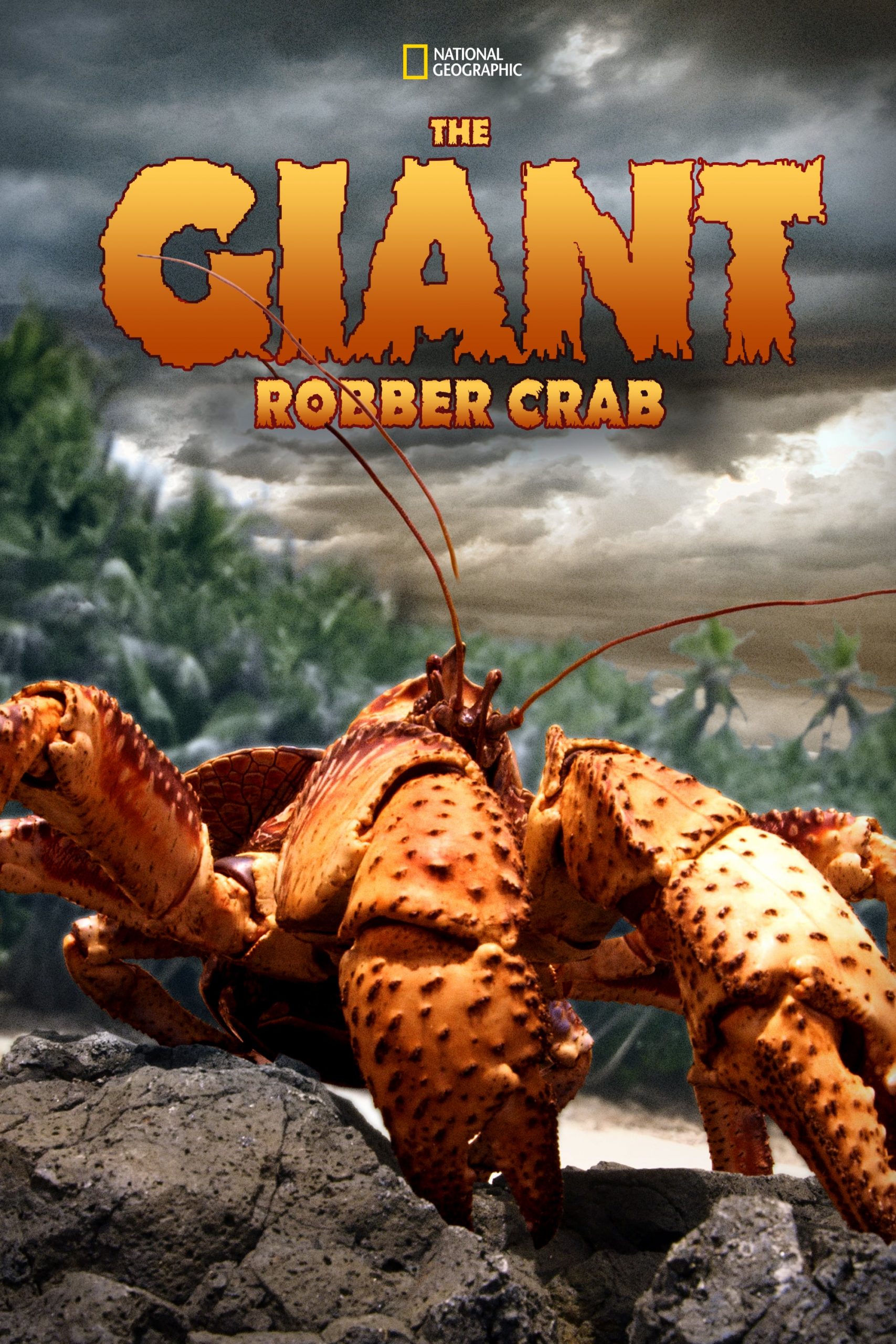 ดูหนังออนไลน์ฟรี The Giant Robber Crab (2019) ปูมะพร้าวแห่งเกาะคริสต์มาส หนังเต็มเรื่อง หนังมาสเตอร์ ดูหนังHD ดูหนังออนไลน์ ดูหนังใหม่