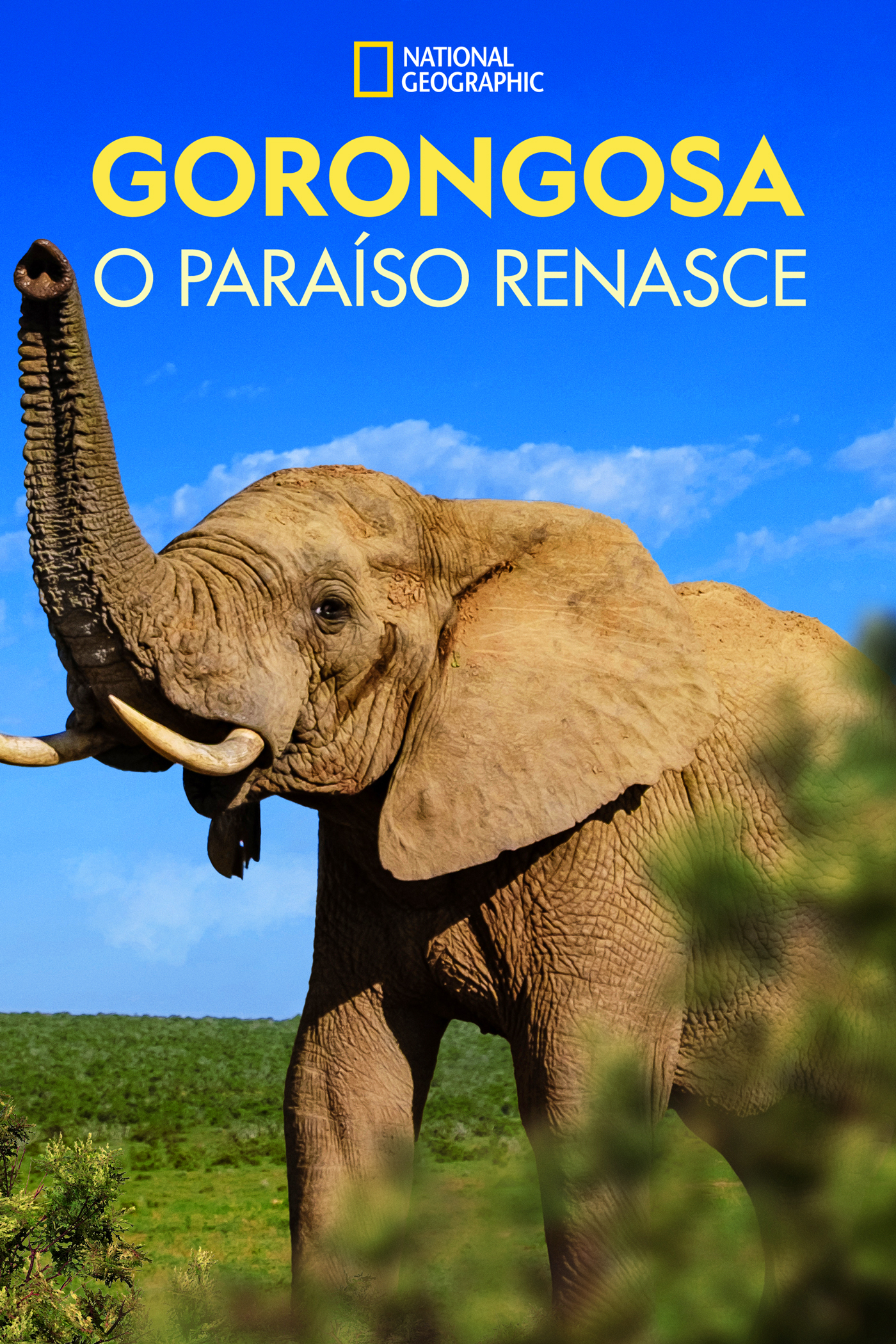 ดูหนังออนไลน์ฟรี Gorongosa Paradise Reborn (2022) หนังเต็มเรื่อง หนังมาสเตอร์ ดูหนังHD ดูหนังออนไลน์ ดูหนังใหม่