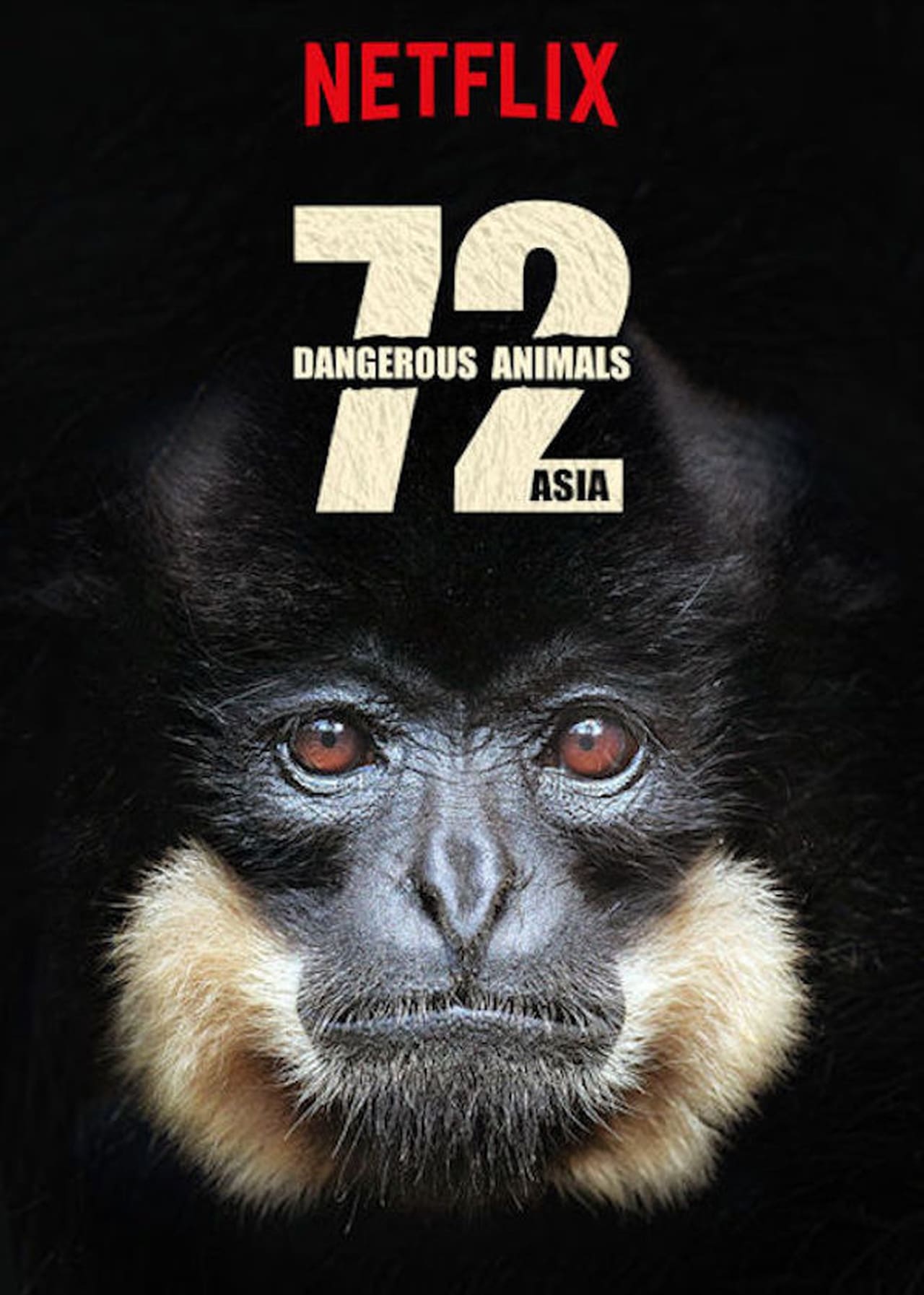 ดูหนังออนไลน์ฟรี 72 Dangerous Animals (2018) 72 สัตว์อันตราย ตอน 1-12 (จบ) หนังเต็มเรื่อง หนังมาสเตอร์ ดูหนังHD ดูหนังออนไลน์ ดูหนังใหม่