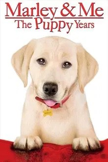 ดูหนังออนไลน์HD Marley and Me The Puppy Years (2011) หนังเต็มเรื่อง หนังมาสเตอร์ ดูหนังHD ดูหนังออนไลน์ ดูหนังใหม่