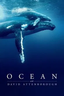 ดูหนังออนไลน์HD Ocean with David Attenborough (2025) หนังเต็มเรื่อง หนังมาสเตอร์ ดูหนังHD ดูหนังออนไลน์ ดูหนังใหม่